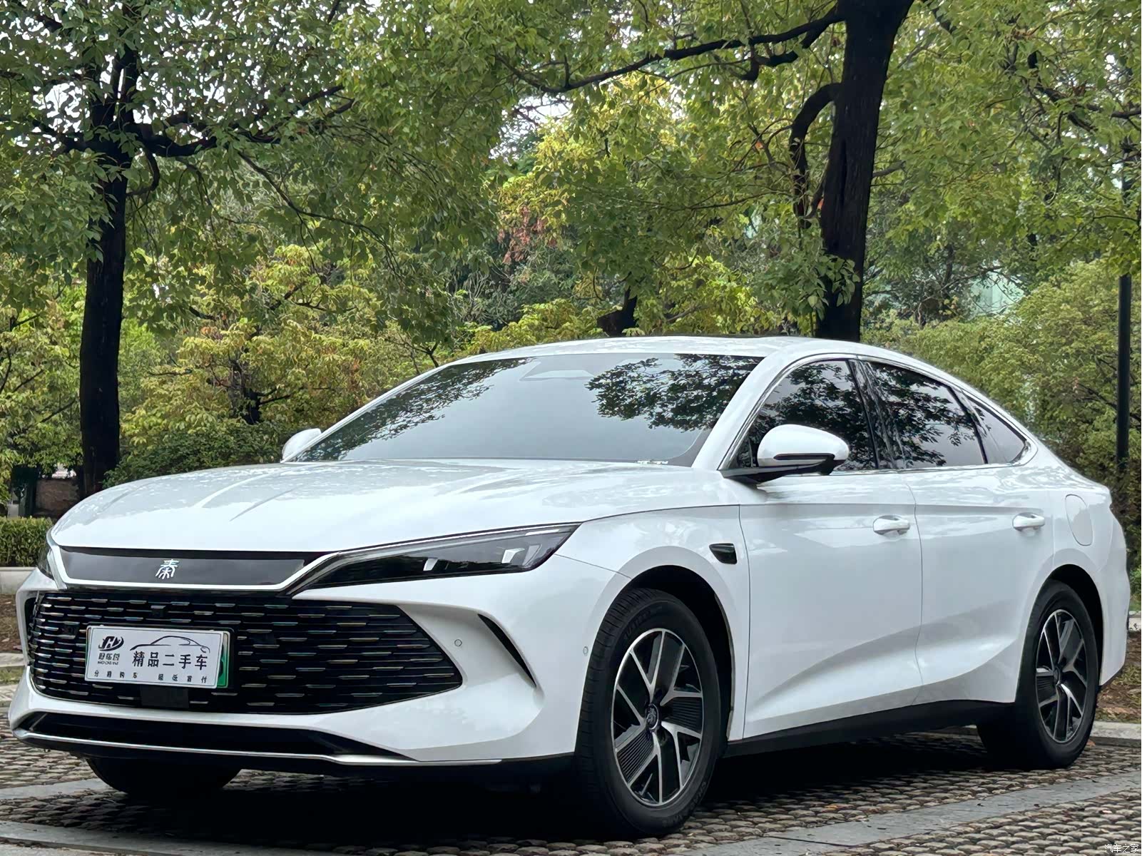 BYD Qin, 2025 1