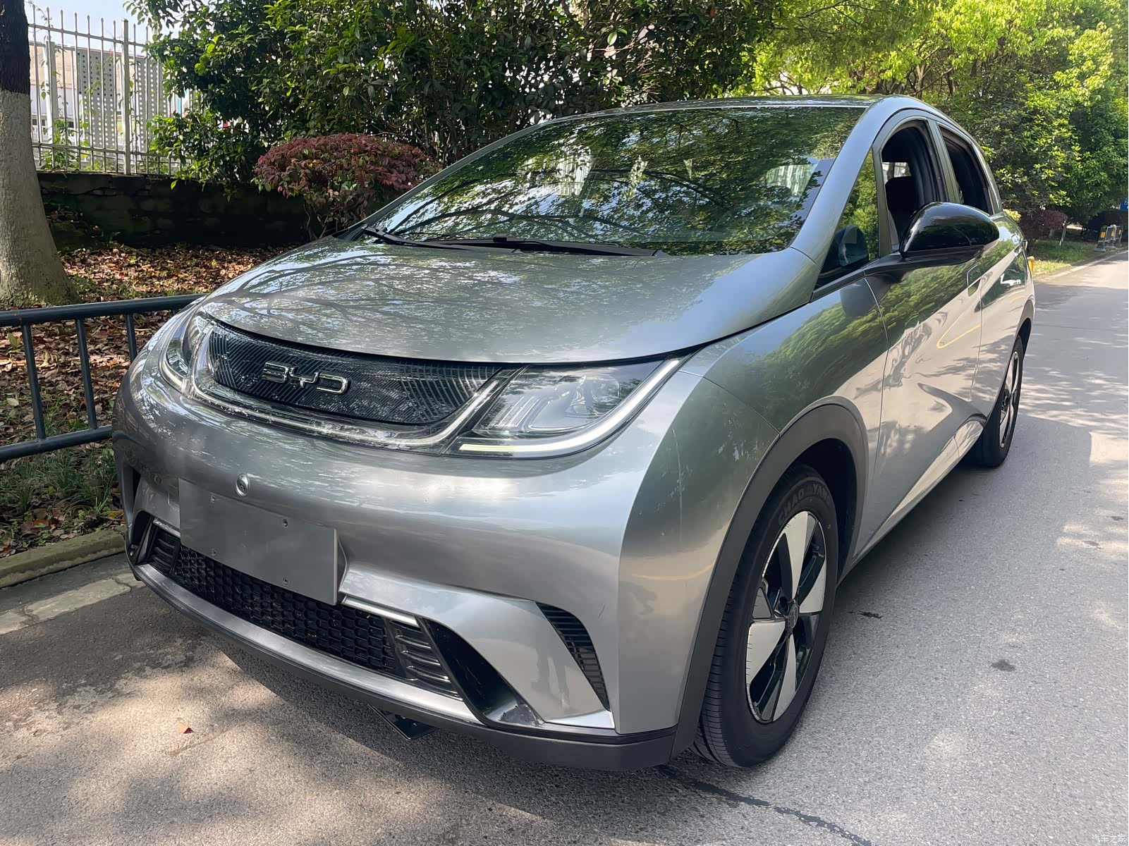 BYD Dolphin, 2023 1