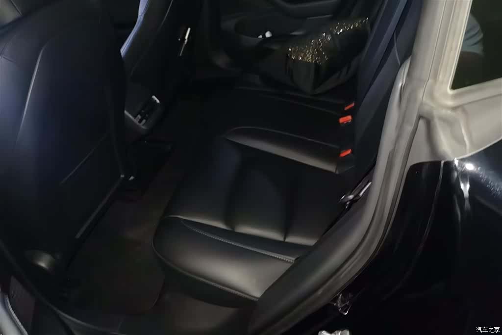 Tesla Model 3, 2020 11