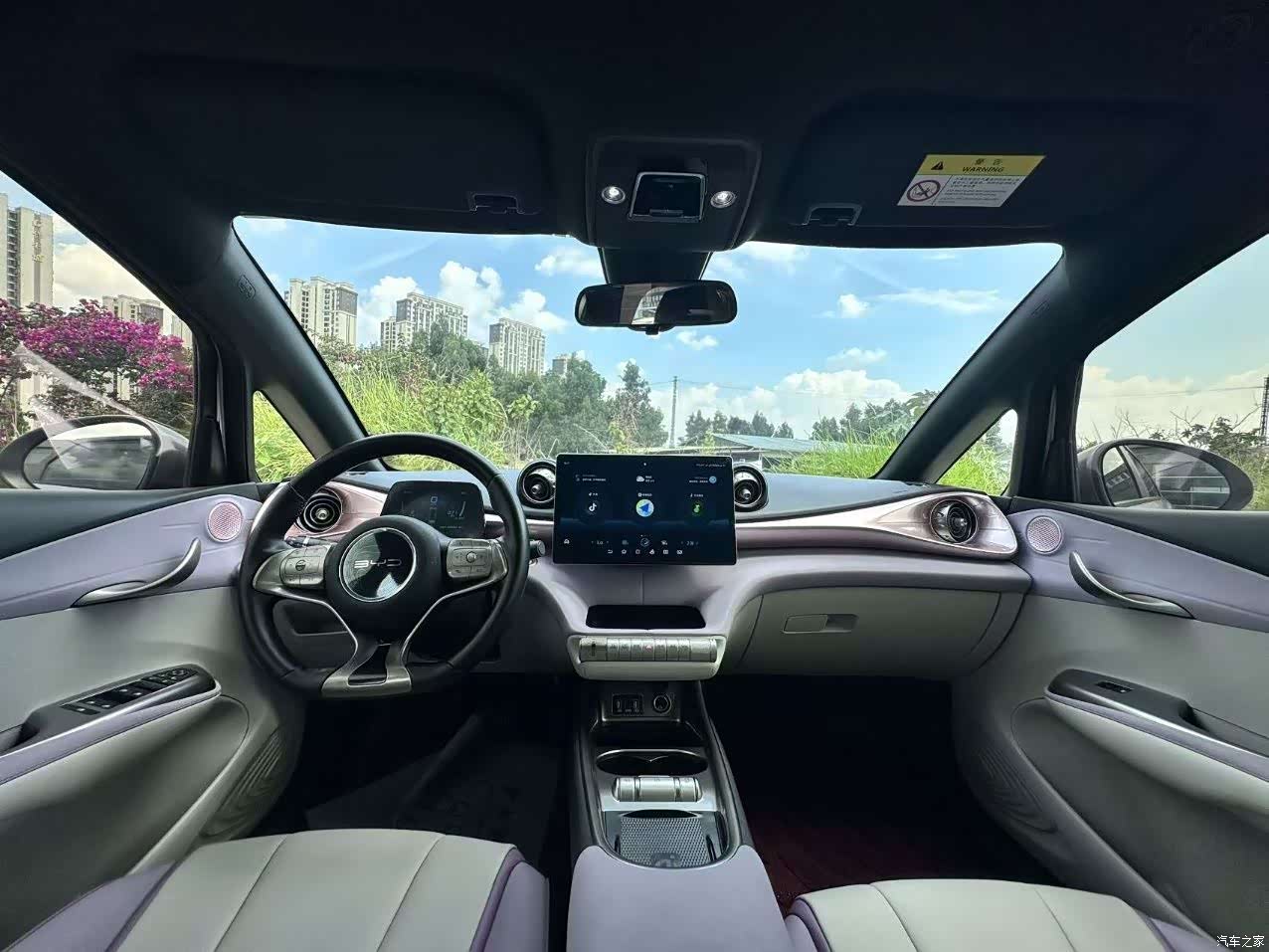 BYD Dolphin, 2023 6
