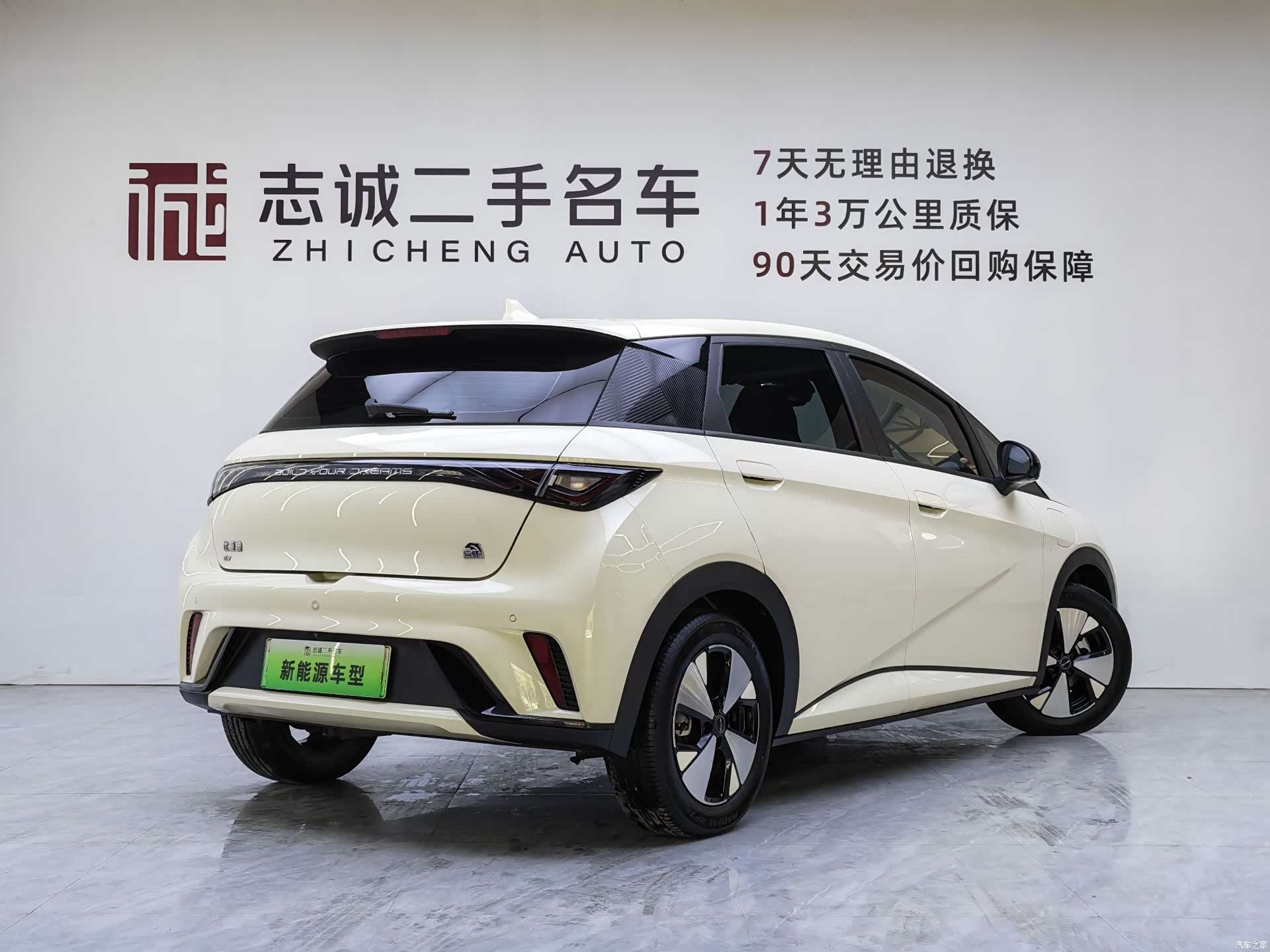 BYD Dolphin, 2024 2