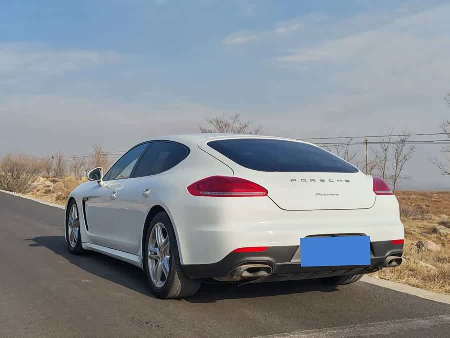 Porsche Panamera 2014, фото 5