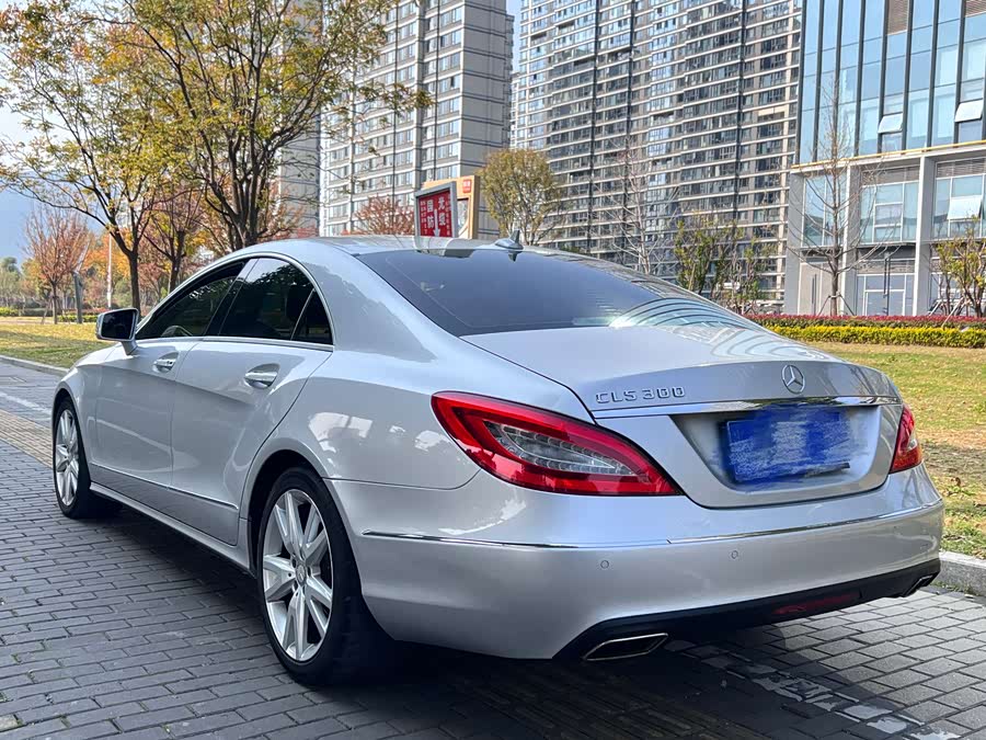Mercedes-Benz CLS-Class 2013, фото 16