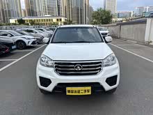 �翥5 2020�� 2.0T����������Ӣ�ʹ�˫�Ź�VI GW4D20M