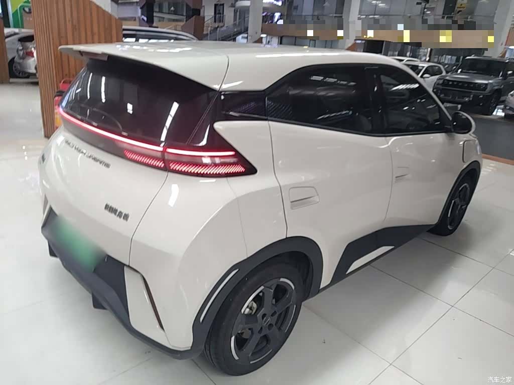 BYD Seagull, 2024 7