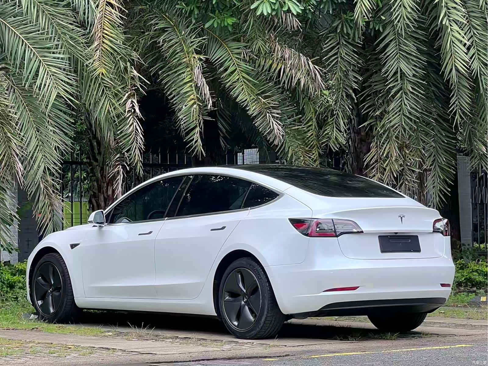 Tesla Model 3, 2019 все фото