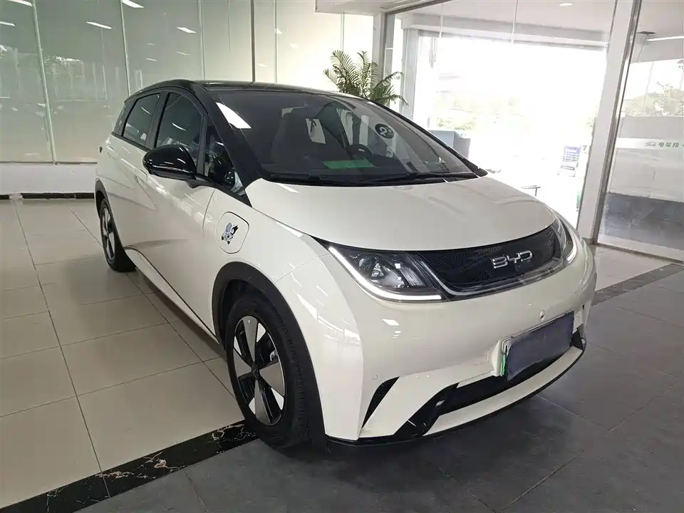 BYD dolphin