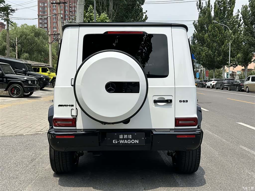 Mercedes-Benz G-Class, 2023 7