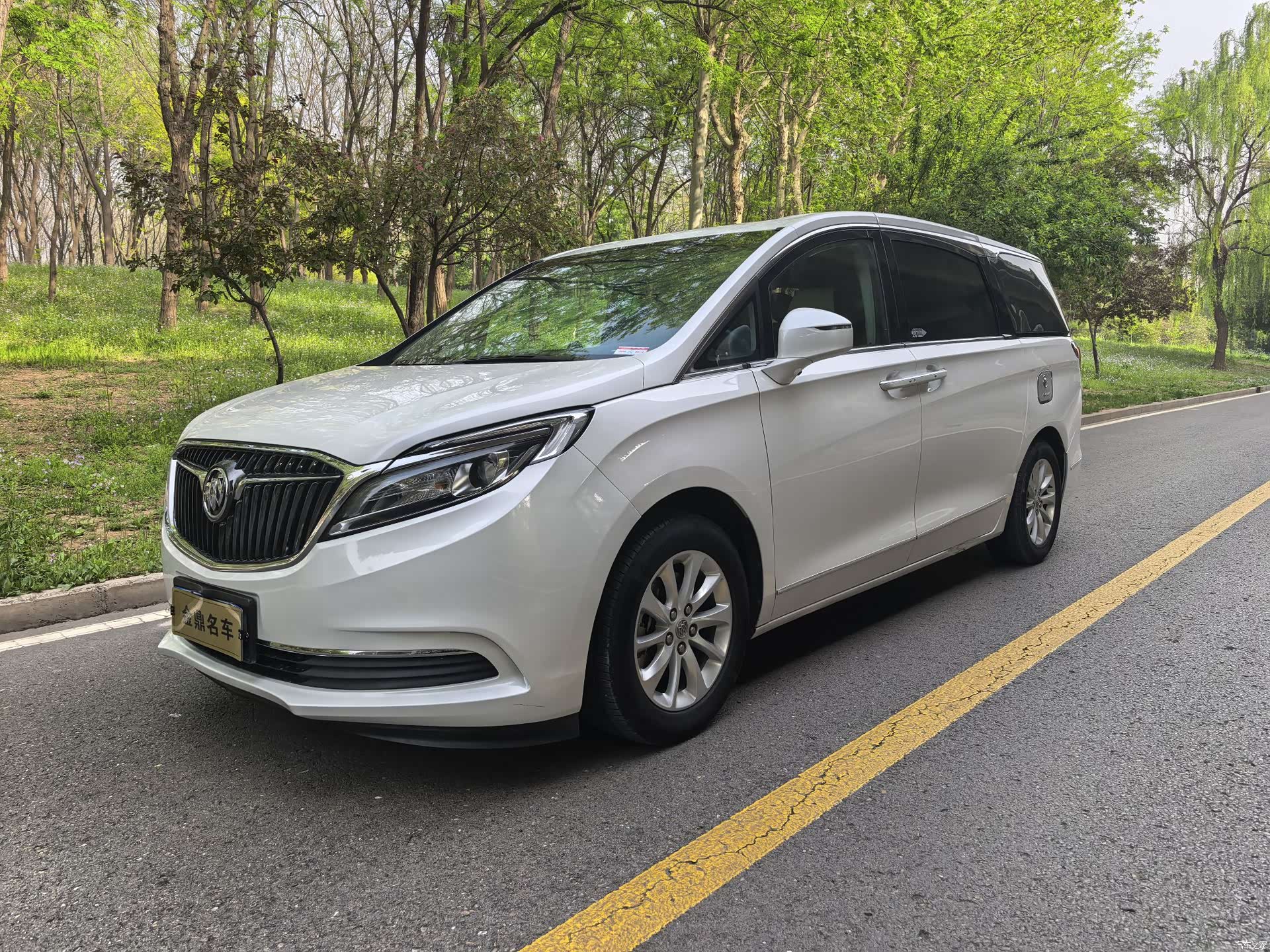 Buick GL8, 2019 1