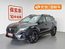 ����RX5 2021�� PLUS 330TGI �Զ����������