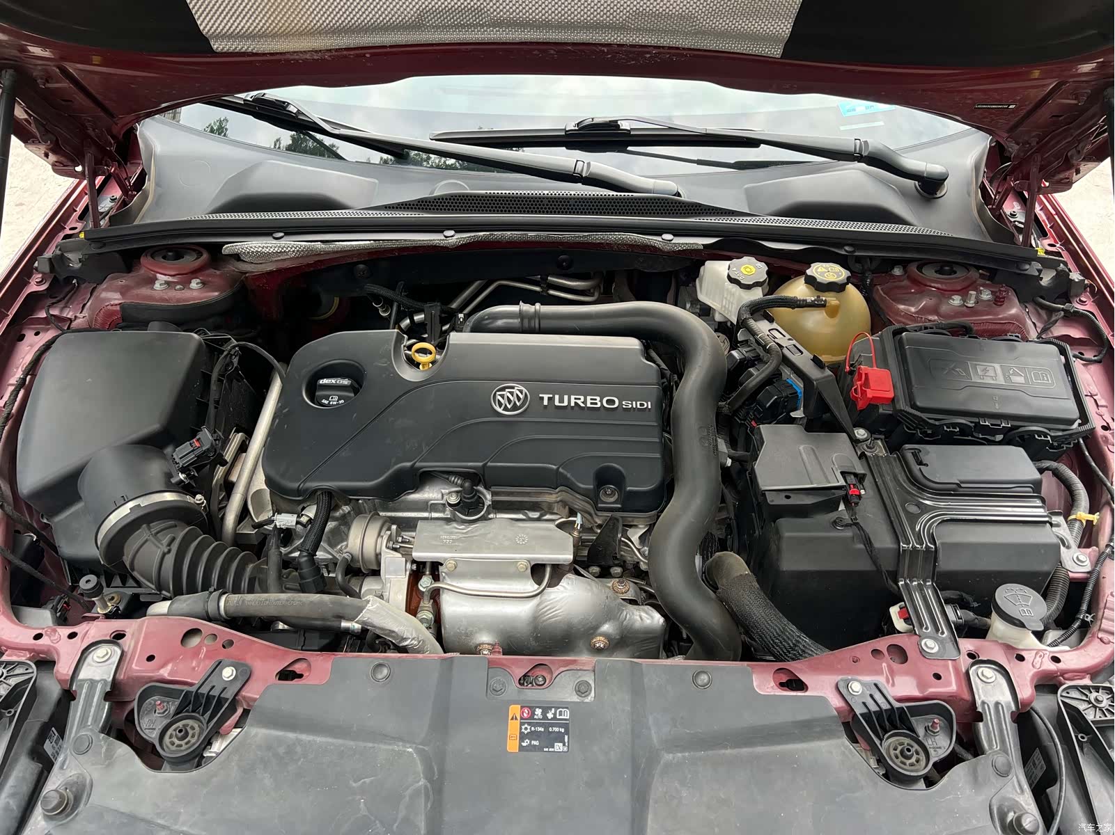 Buick Regal, 2022 все фото