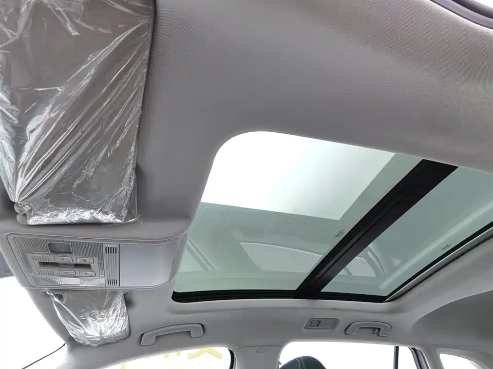 Volkswagen C-TREK Wei Collar