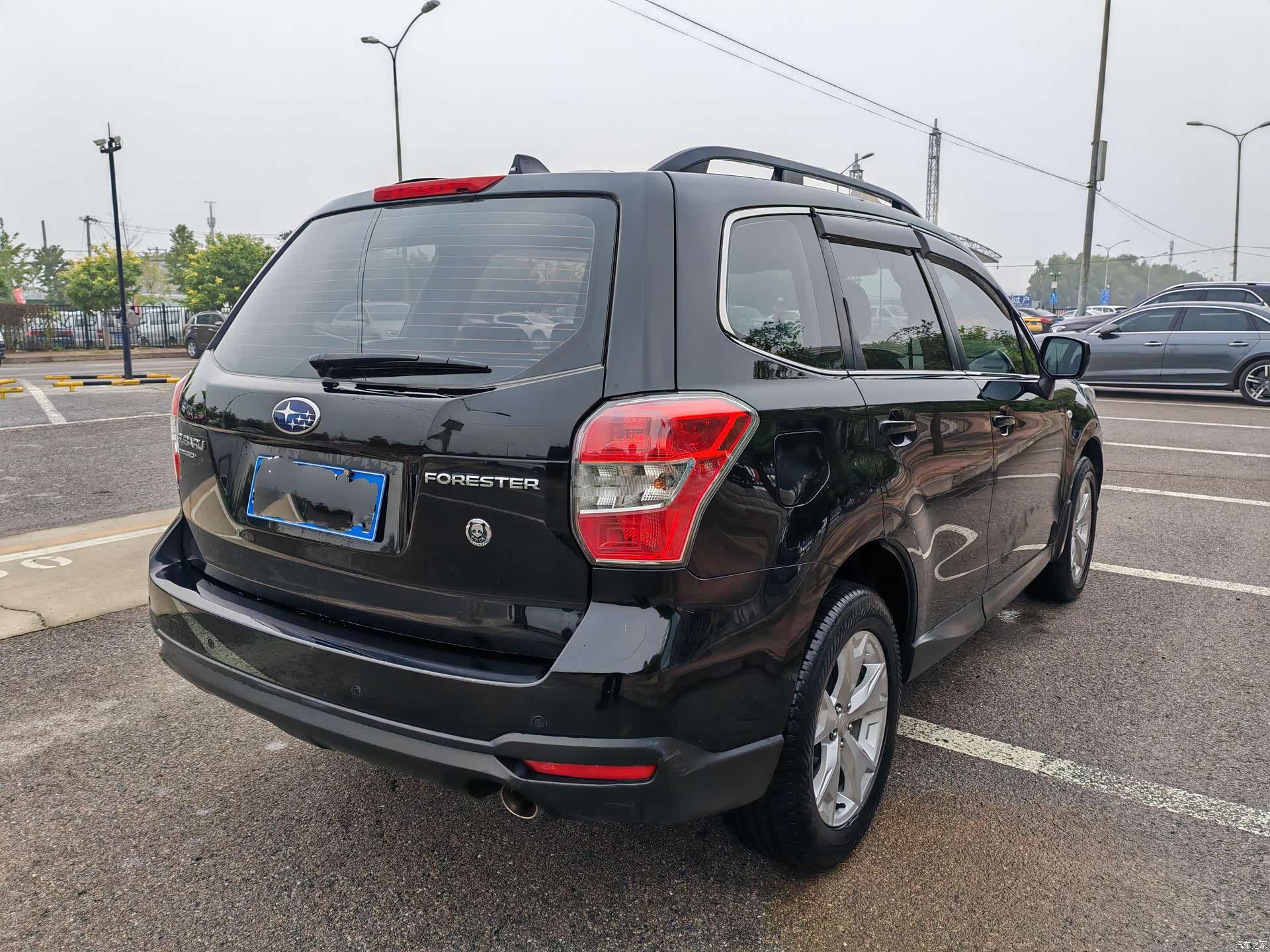 Subaru Forester, 2014 все фото
