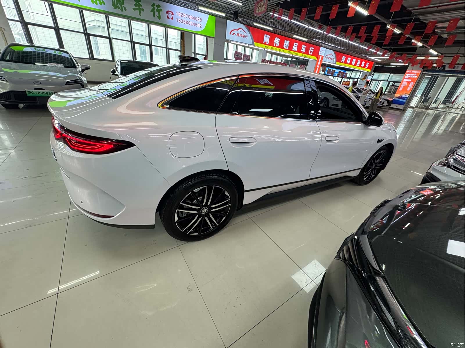 BYD Qin, 2025 все фото