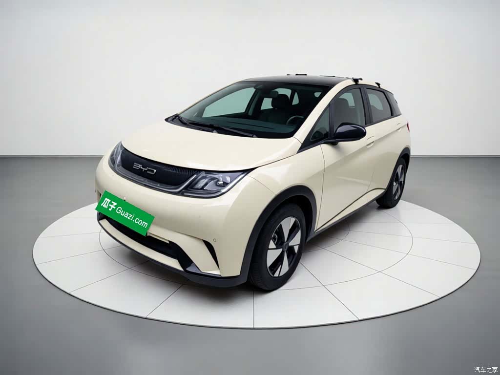 BYD Dolphin, 2024 2