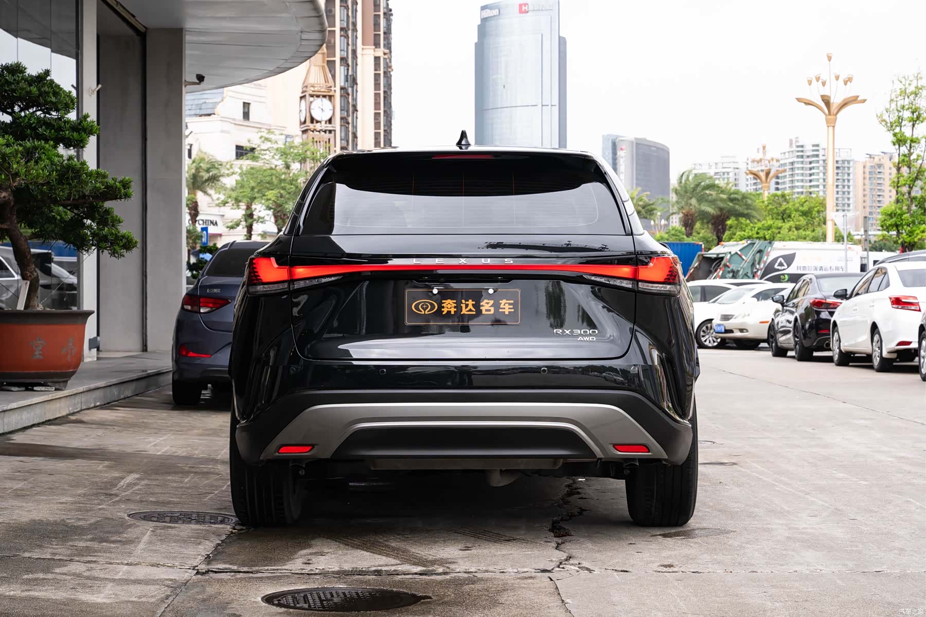 Lexus RX, 2025 все фото