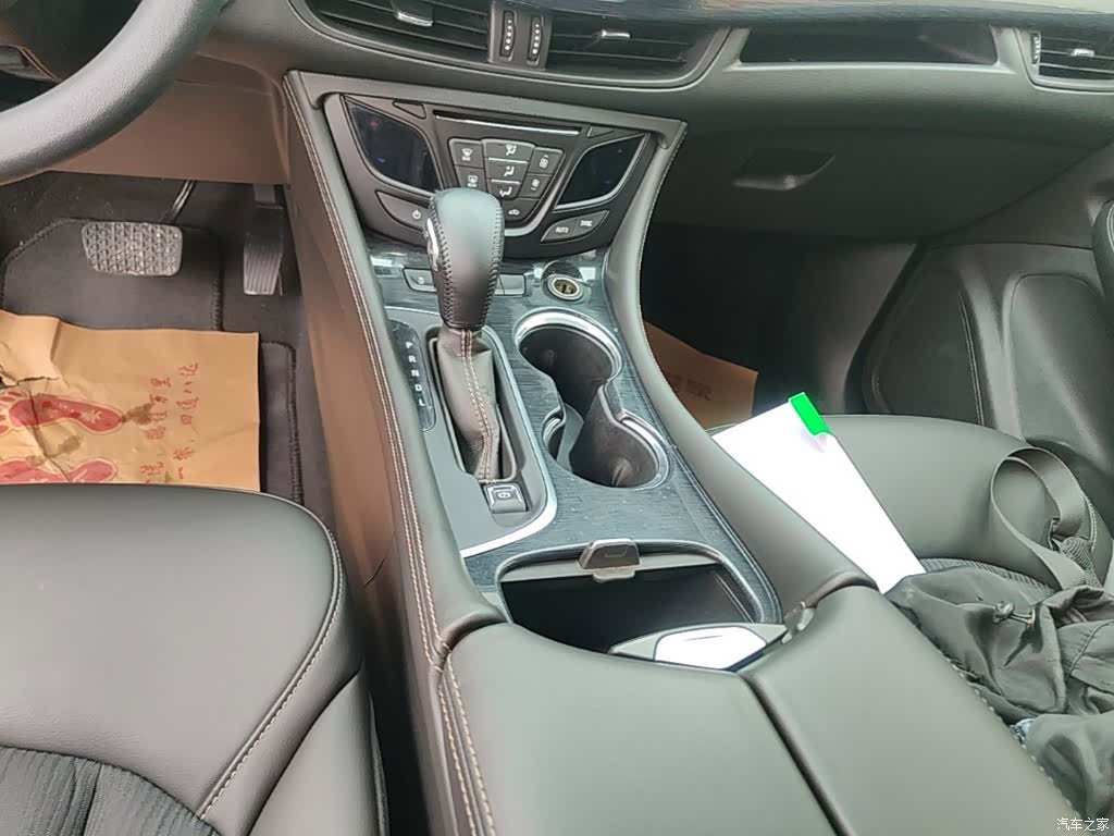 Buick Envision Plus, 2015 14
