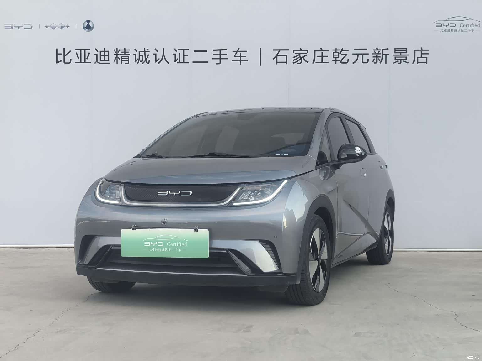 BYD Dolphin