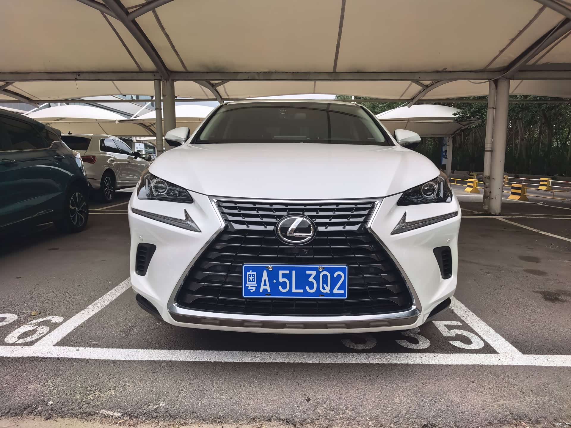 Lexus NX, 2021 2
