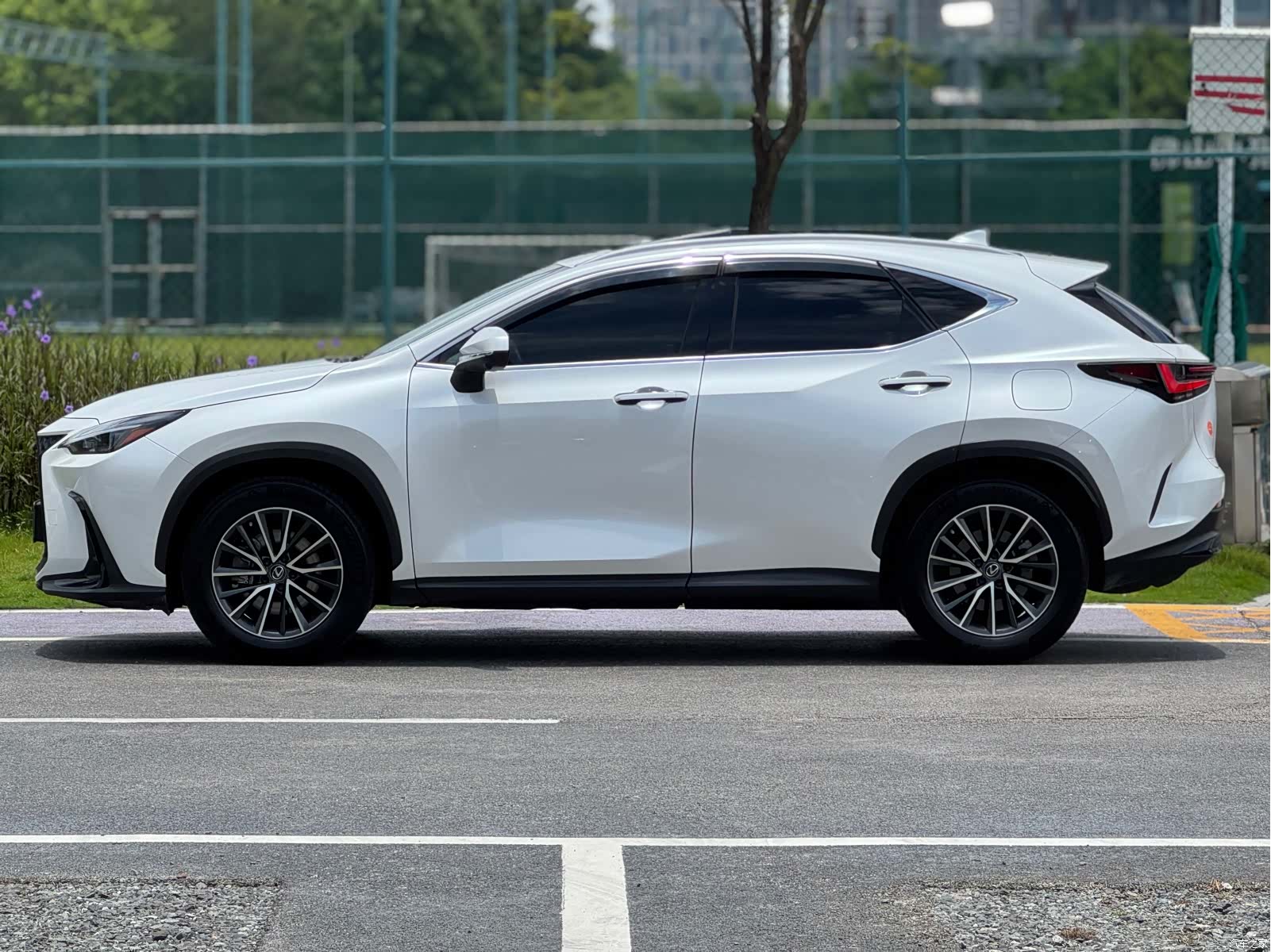 Lexus NX, 2023 3