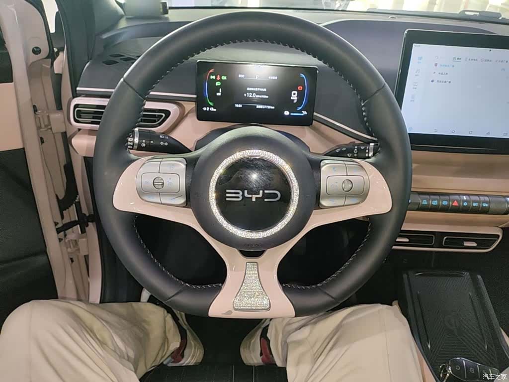 BYD Seagull, 2024 11