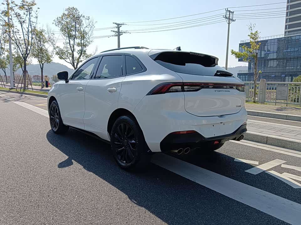 Forthing Popular T5 EVO