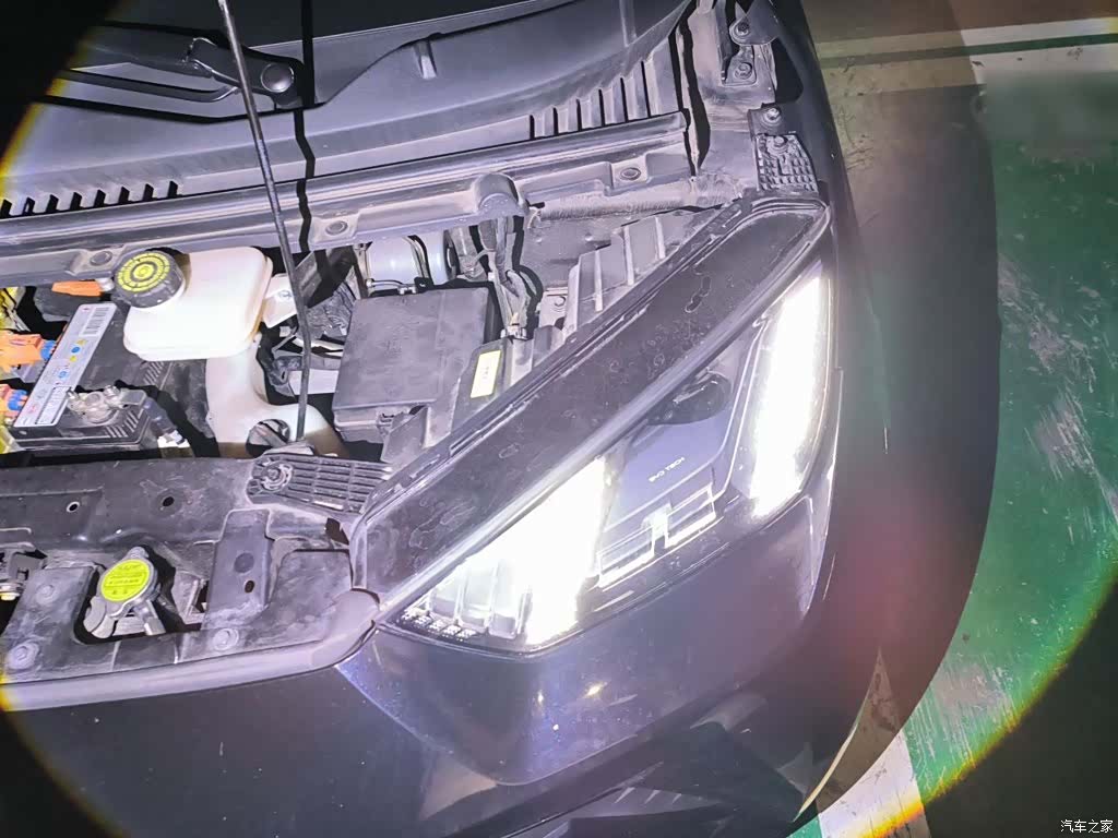 BYD Seagull, 2024 22