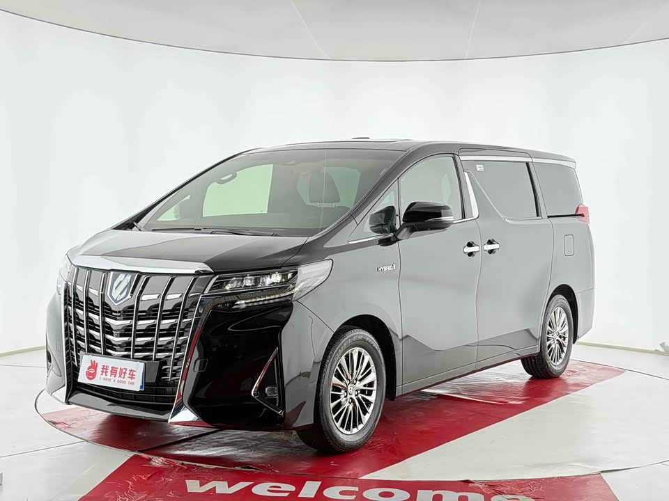 Toyota Elfa