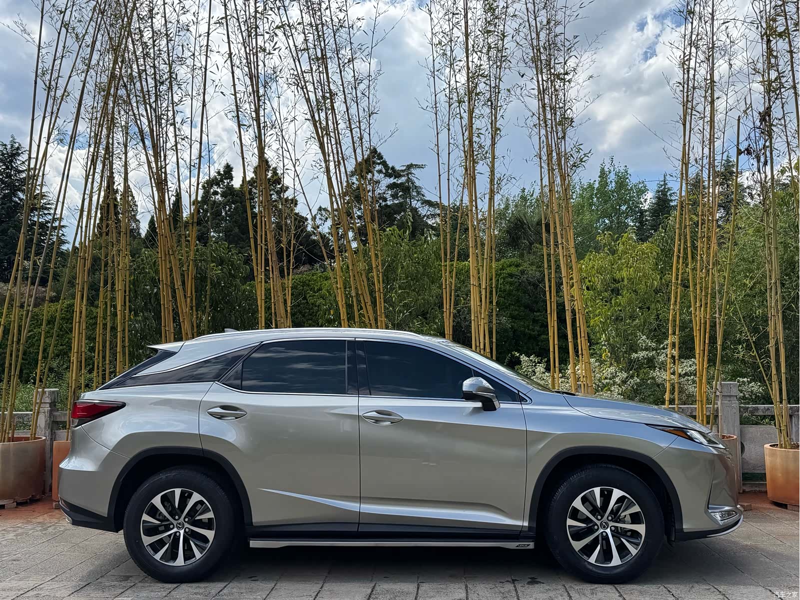 Lexus RX, 2022 все фото