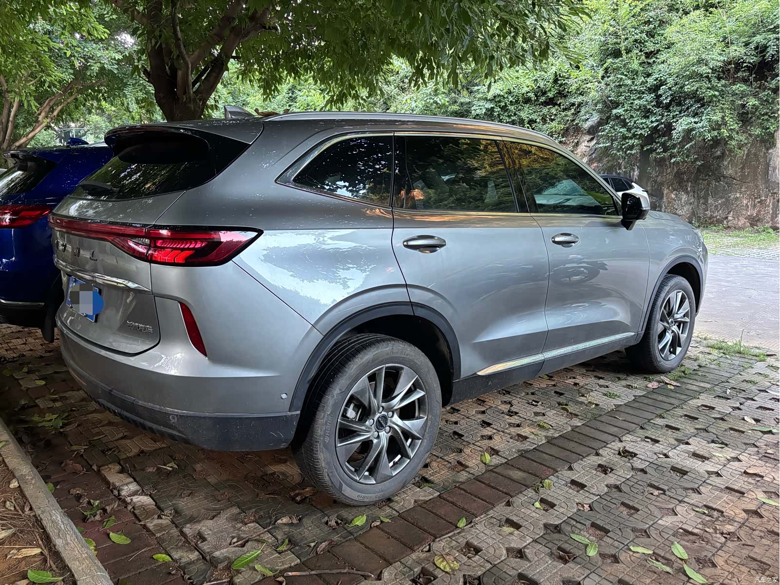 Haval H6, 2021 все фото