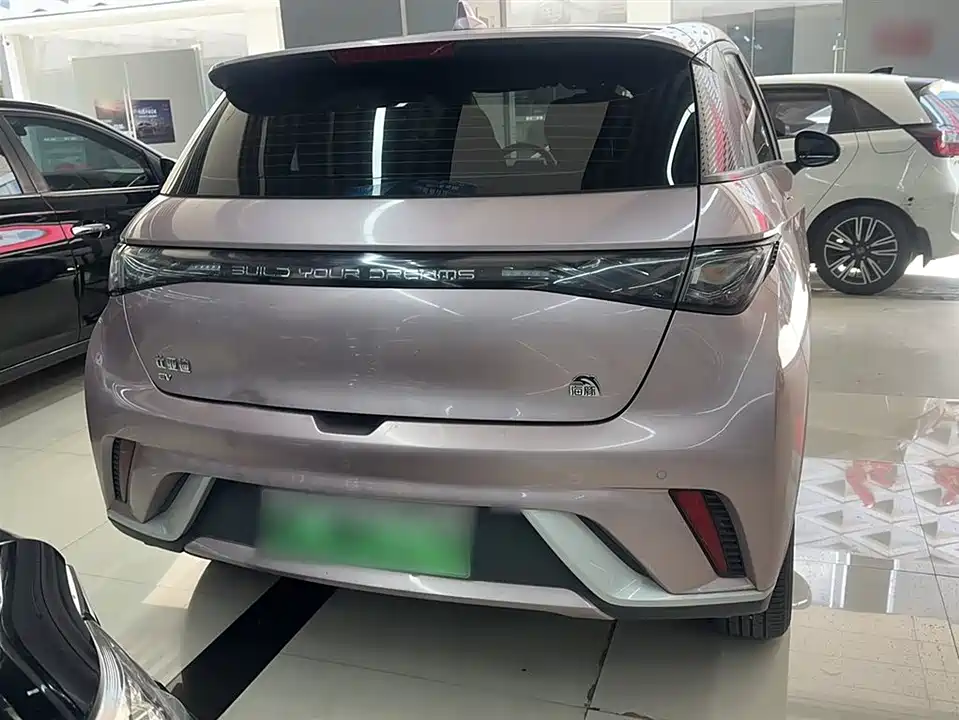 BYD dolphin