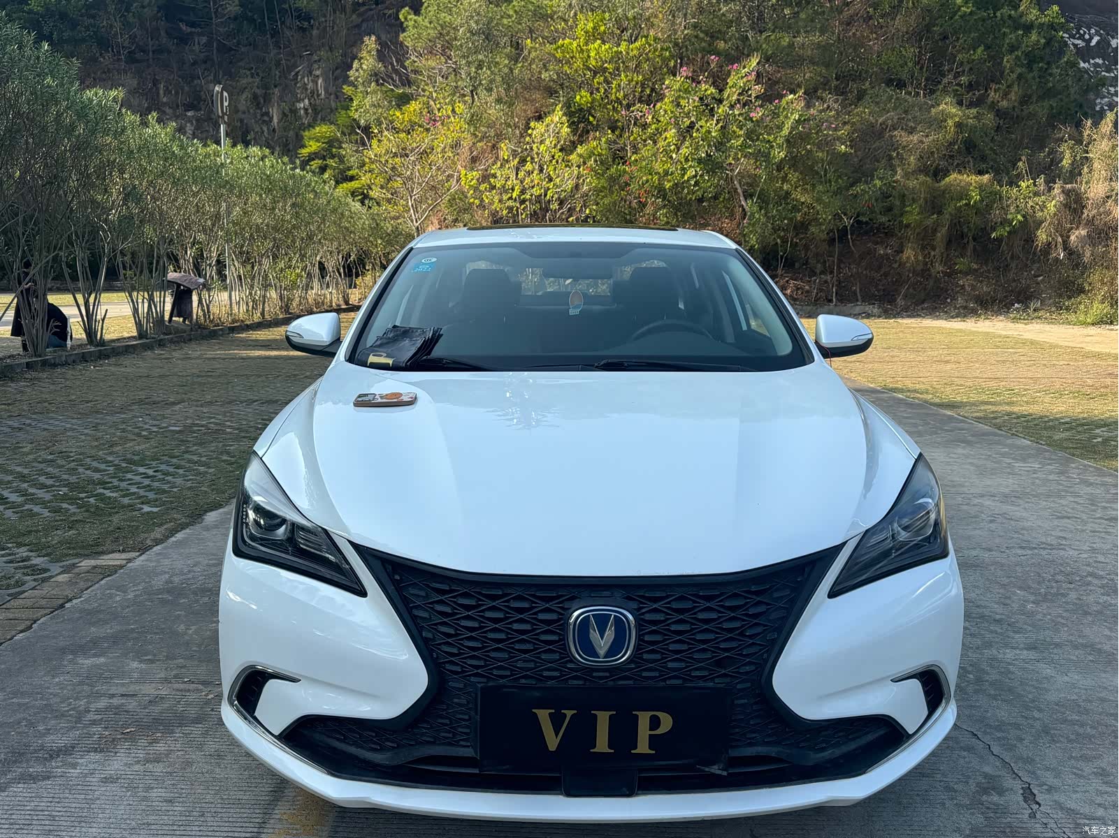 Changan Eado, 2020 2