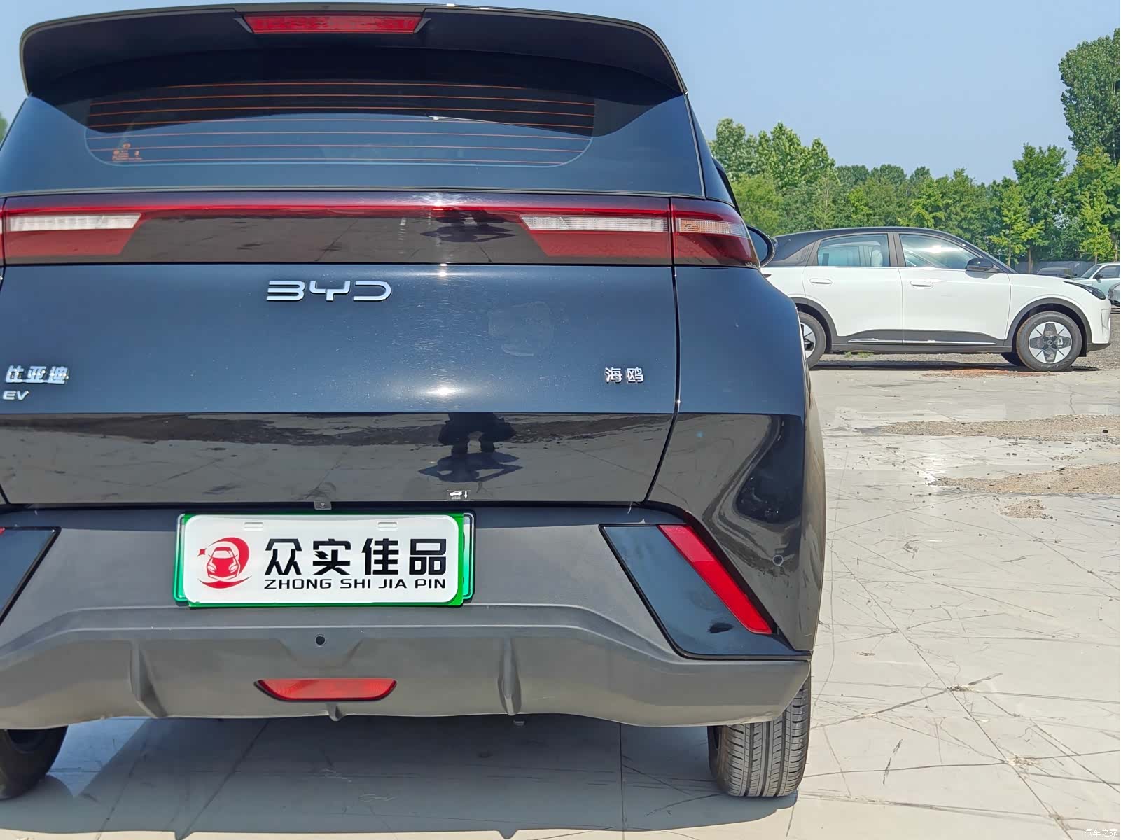 BYD Seagull, 2024 23