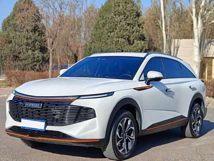 �������ֹ��� �������� 2023�� 1.5T �����DHT