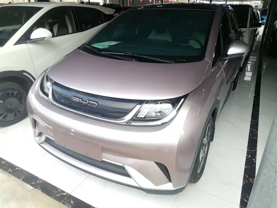 BYD dolphin