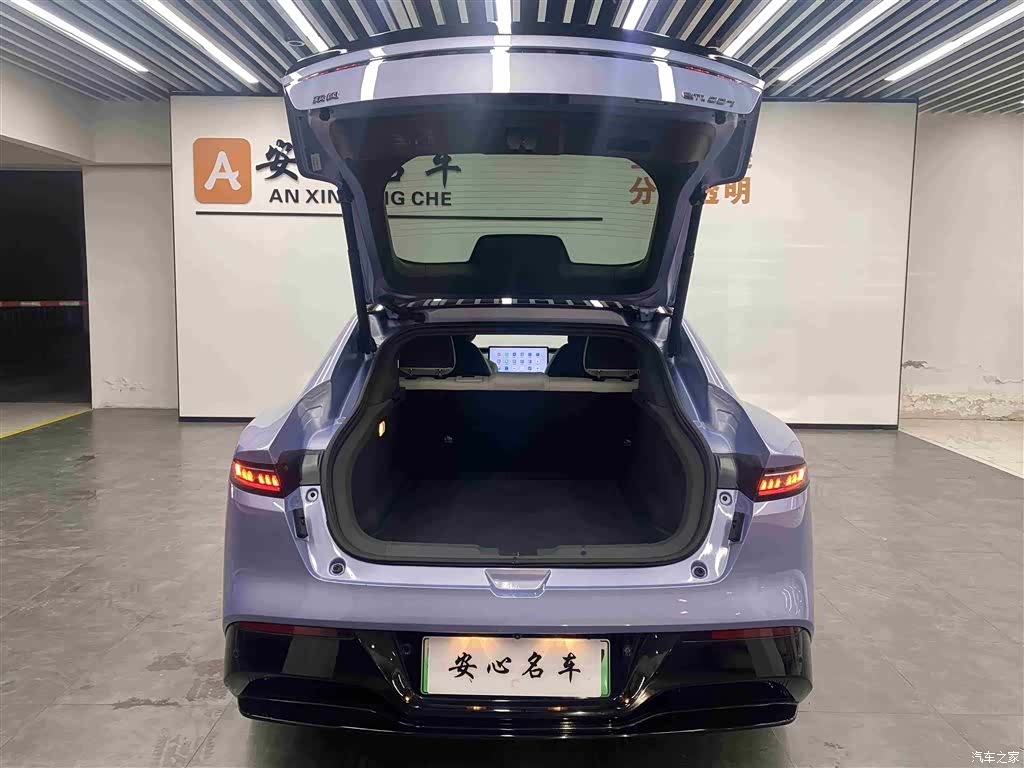 DongFeng eπ007, 2024 все фото