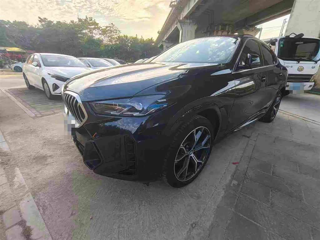 BMW X6 2023 xDrive40i Premium M Sport