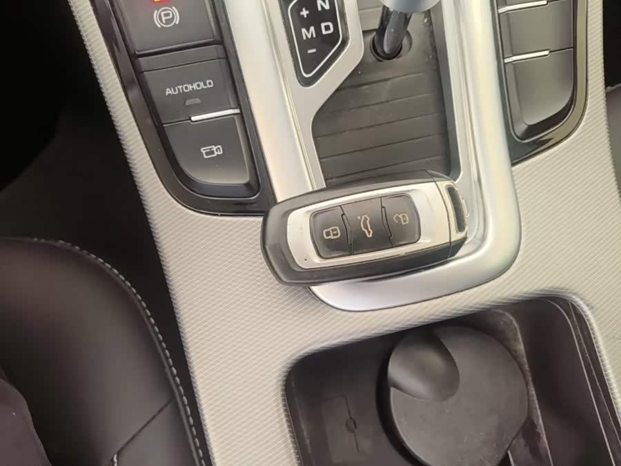 Geely Emgrand GS 2019, фото 9