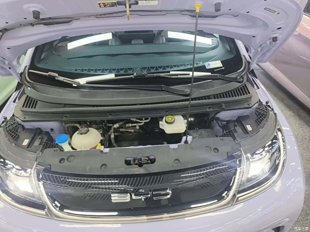 BYD Dolphin, 2024 20