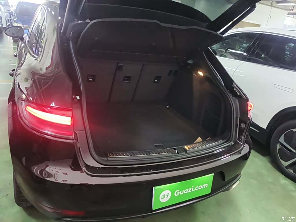 Macan Macan, 2020 19