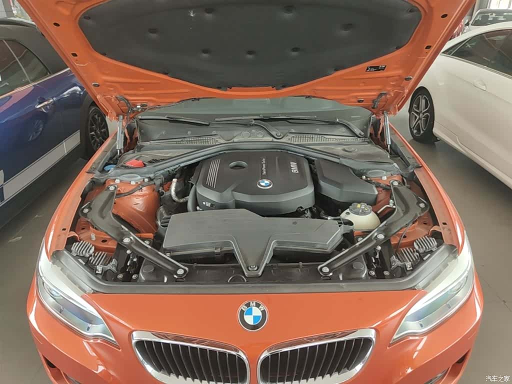 BMW 2 Series, 2017 20
