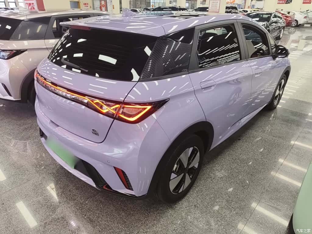 BYD Dolphin, 2024 7