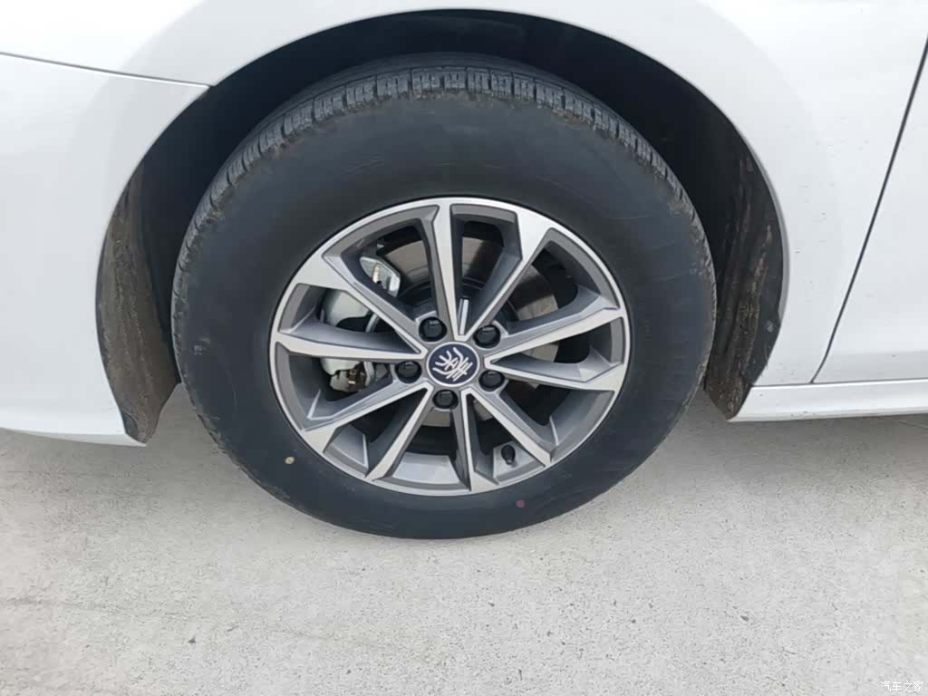 BYD Qin, 2024 25
