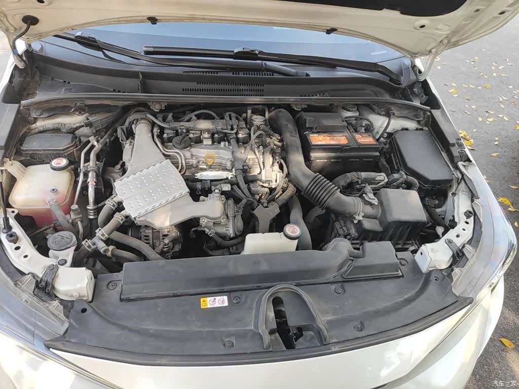 Toyota Levin, 2019 20