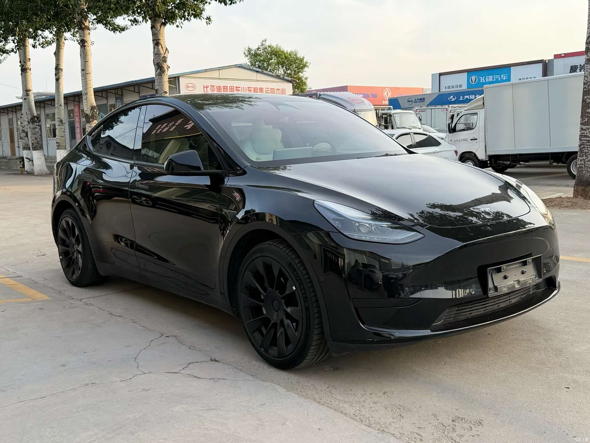 Tesla Model Y, 2023 все фото