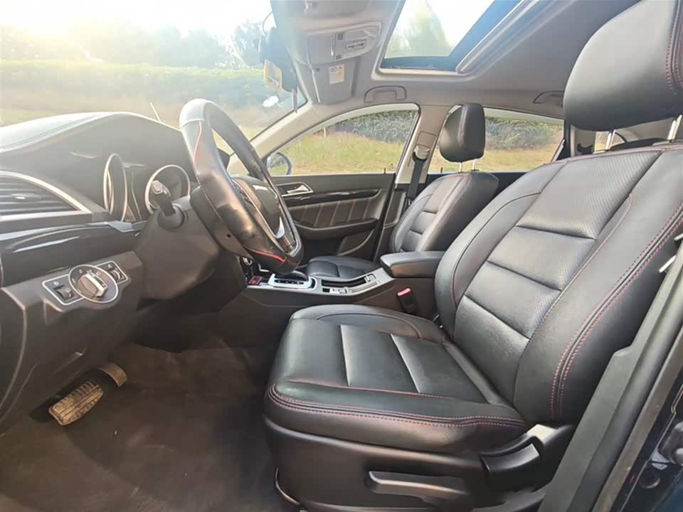 Leopaard Cheetah CS10