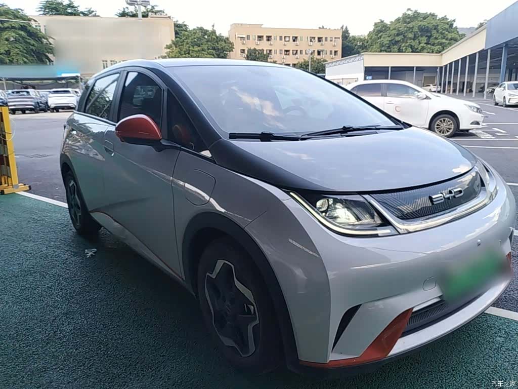 BYD Dolphin, 2021 4