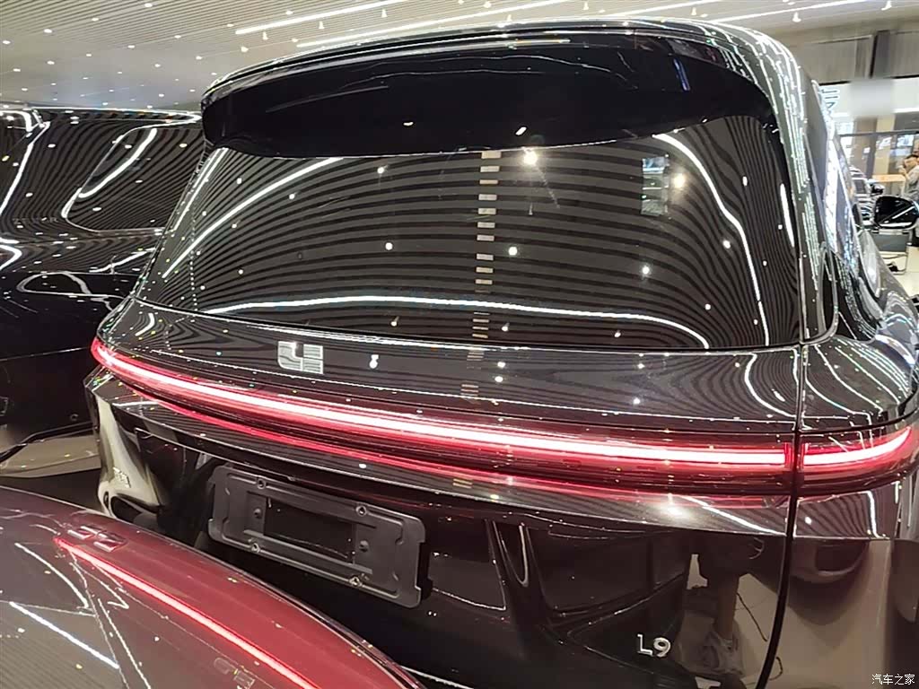 Li Auto L9, 2022 6