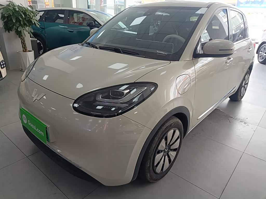 Wuling Binguo
