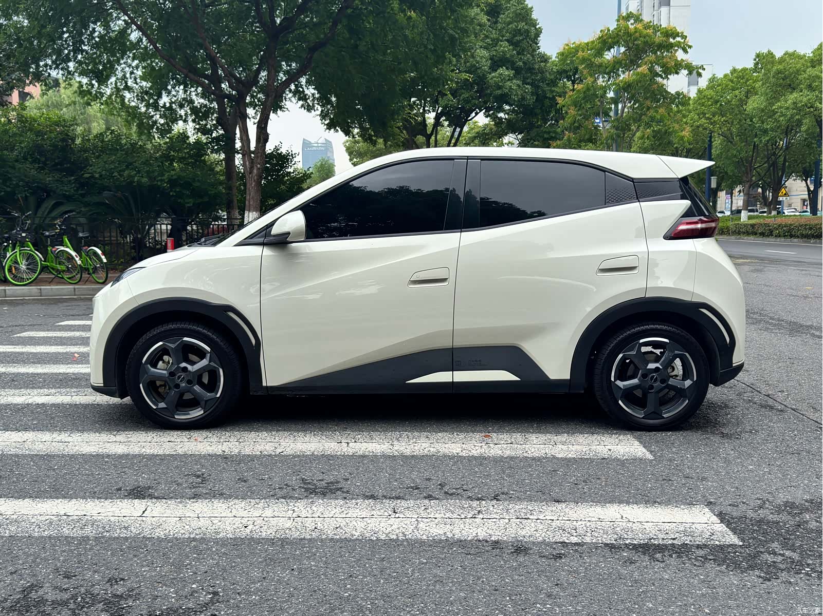 BYD Seagull, 2024 4